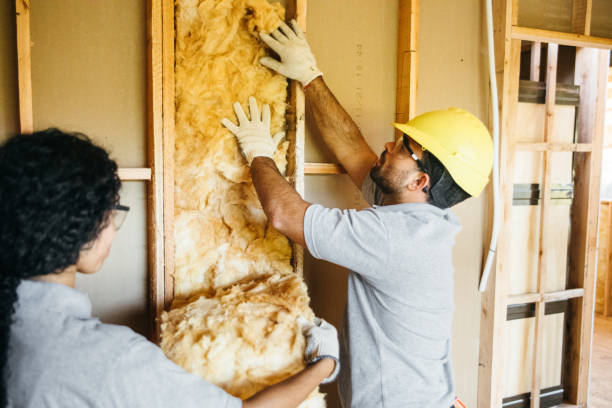 Professional Insulation in Baytown, TX