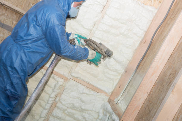 Best Crawl Space Insulation  in Baytown, TX